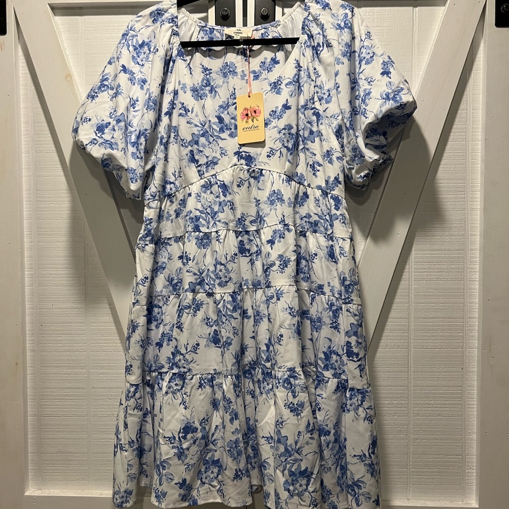 This item is an Entro size medium dress. It is white with dark blue floral.